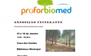 Alcoutim aposta na promoção da biomassa florestal
