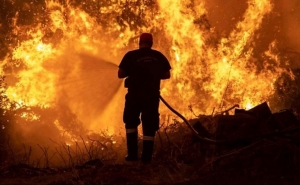 Incêndios/Algarve: Ainda se faz o balanço dos prejuízos e já chegaram os primeiros apoios