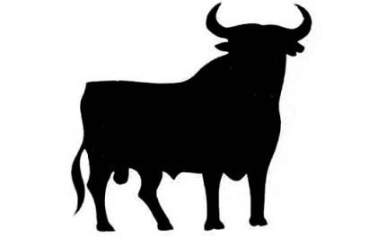 Albufeira bate recorde em espetáculos Taurinos 