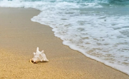 Praia da Batata em Lagos interditada a banhos