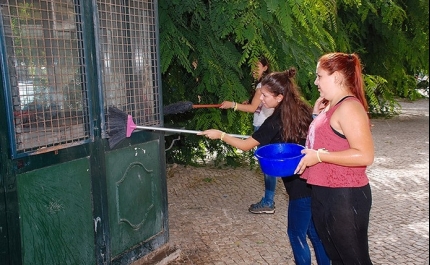 «Praxe solidária» levou caloiros a ajudar no serviço alimentar franciscano aos pobres