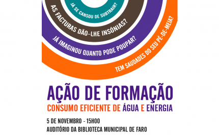 Ação de Formação 