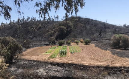 Agricultores de Monchique recebem apoio da Câmara Municipal para recuperar equipamentos agrícolas destruídos pelo incêndio