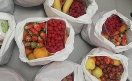 MUNICÍPIO DE LOULÉ DISTRIBUI CABAZES ALIMENTARES A MAIS DE 300 PESSOAS 