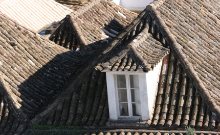 Mais 26 famílias tavirenses recebem apoio ao arrendamento