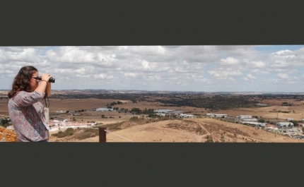 Cidadania | Inscrições para programa Voluntariado Jovem para a Natureza e Florestas já estão abertas