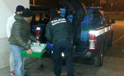 Polícia Marítima apreende arrastão no Algarve com 900 kg de pescado apanhado ilegalmente