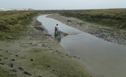 Polícia Marítima surpreende em flagrante delito indivíduos em pesca ilegal na Ria Formosa