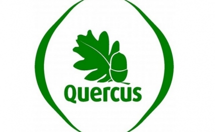 Eficiência energética: Quercus atualiza rankings de produtos em Topten.pt