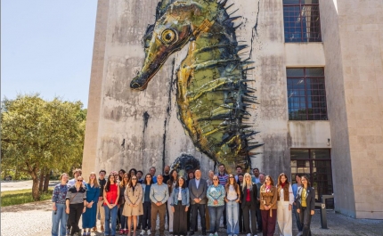 UAlg recebeu encontro sobre comunicação e impacto na SEA-EU