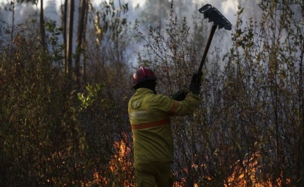 Incêndios: Época mais crítica termina hoje com menor número de fogos da última década
