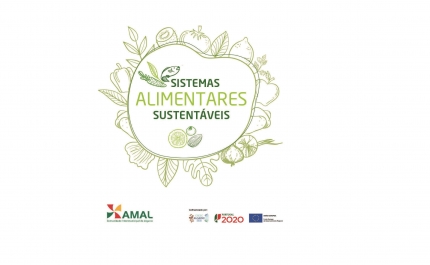Refeições escolares no Algarve passam a incluir produtos da região