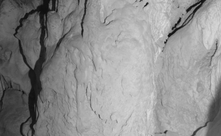 Arte e ecologia: exposição Sustentar chega ao Algarve e fica até março