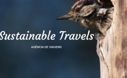 EXISTE UMA NOVA AGÊNCIA DE VIAGENS NO ALGARVE E APOSTA NO TURISMO SUSTENTÁVEL