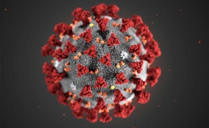 Covid-19: Mais mulheres que homens em assistência à família, «lay-off» ou sem atividade – estudo