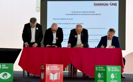SUSTENTABILIDADE DE ECOSSISTEMAS SUBTERRÂNEOS DE LOULÉ VAI TER CÁTEDRA NA UNIVERSIDADE DE LISBOA