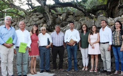 Alfarroba, o sabor intenso tradição e animação confirmados na Feira da Serra de São Brás de Alportel