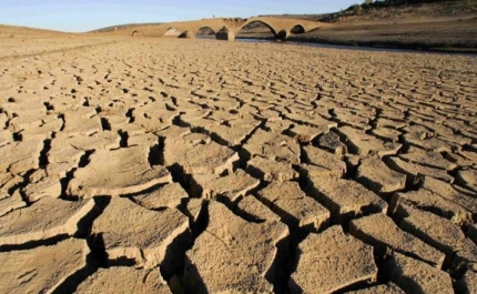 Seca: Anos mais quentes em 90 anos sucedem-se desde 2000, com precipitação abaixo da média