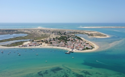 Praia da Armona Mar em Olhão interditada a banhos - autoridades