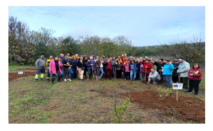 Dia da Floresta Autóctone: IPSS de Loulé participam em ação em plantação para promover pomar de sequeiro