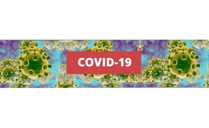 Covid-19: Portugal tem taxa de ocupação dos cuidados intensivos de 54%