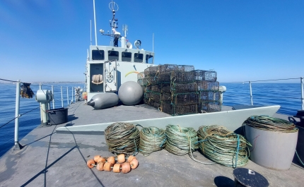 Navio da Marinha deteta e recolhe mais de 50 armadilhas no Parque Natural Marinho do Recife do Algarve – Pedra do Valado