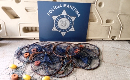 Polícia Marítima apreende 60kg de caranguejo-mouro e 11 artes de pesca em Tavira