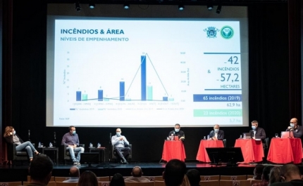 MUNICÍPIO DE LOULÉ FAZ «BALANÇO POSITIVO» DOS INCÊNDIOS RURAIS NO CONCELHO