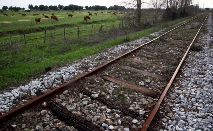 Portugal longe de ter uma das melhores redes ferroviárias da Europa