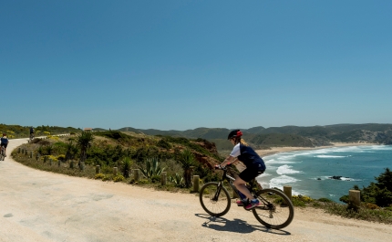 Interesse da imprensa internacional sobre o Algarve dispara
