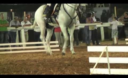 Jornada de Atrelagem da Zona Sul