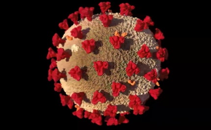 Covid-19: Algarve regista hoje 238 novos casos e 3 vítimas mortais