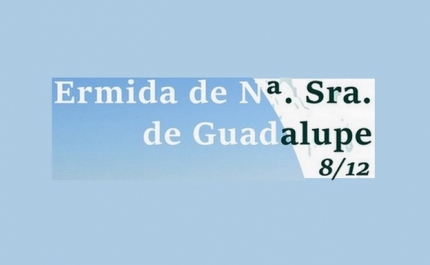 Performance 7 Ventos