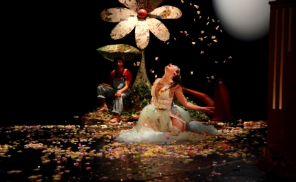SARAMAGO, DANÇA, MÚSICA E TRÊS FESTIVAIS EM NOVEMBRO NO CINETEATRO LOULETANO