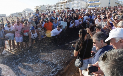 DIA DO PESCADOR ASSINALADO POR COMUNIDADE DE QUARTEIRA AO SOM DE JOSÉ MALHOA E ROMANA