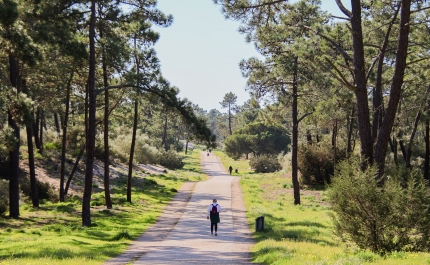 Vila Real de Santo António lança Plano Municipal de Ação Climática