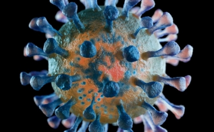 Covid-19: Algarve hoje com mais 11 novos casos