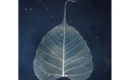 Workshop Introdução à Cianotipia