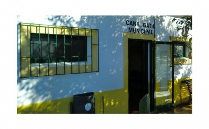 CM LOULÉ | INFORMAÇÃO SOBRE O «CANIL MUNICIPAL»