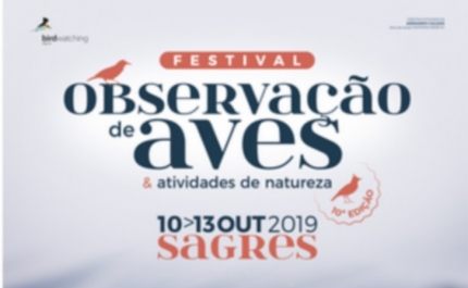 Observação de Aves 