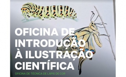 Oficina de Introdução à Ilustração Científica | Técnica de Lápis de Cor