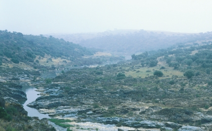 PELOS CAMPOS DE SALÚQUIA | «Paisagens ocultas» é a próxima atividade 