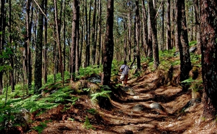 Ultra Maratona desafia atletas a correrem 300 quilómetros pelas serras algarvias