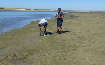 Polícia Marítima fiscaliza atividades profissionais e lúdicas de exploração dos recursos vivos