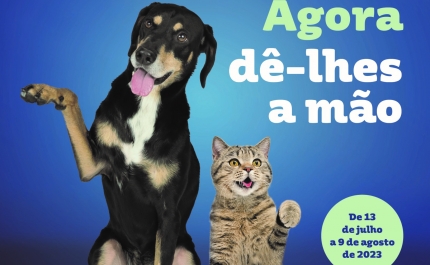 Intermarché associa-se à causa animal com nova campanha solidária Amiga-me