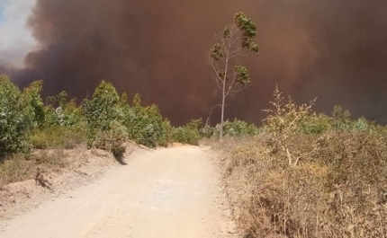 CORPO DE BOMBEIROS SAPADORES DE FARO MOBILIZOU MEIOS  PARA COMBATE A INCÊNDIO EM ALJEZUR, VILA DO BISPO E LAGOS
