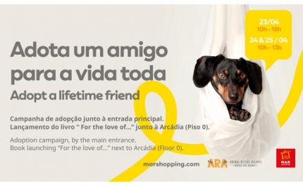 Campanha de adoção no MAR Shopping Algarve vai permitir levar um amigo de quatro patas para casa