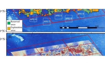 INVESTIGADORA DA UNIVERSIDADE DO ALGARVE AJUDA A CLARIFICAR MITOS E A EXPLICAR CONCEITOS ERRADOS SOBRE O MAR PROFUNDO