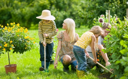 Calendário de plantações 2024: tudo o que deves plantar na horta
