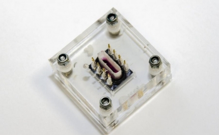 NOVA TECNOLOGIA ELETRÓNICA DESENVOLVIDA NA UALG